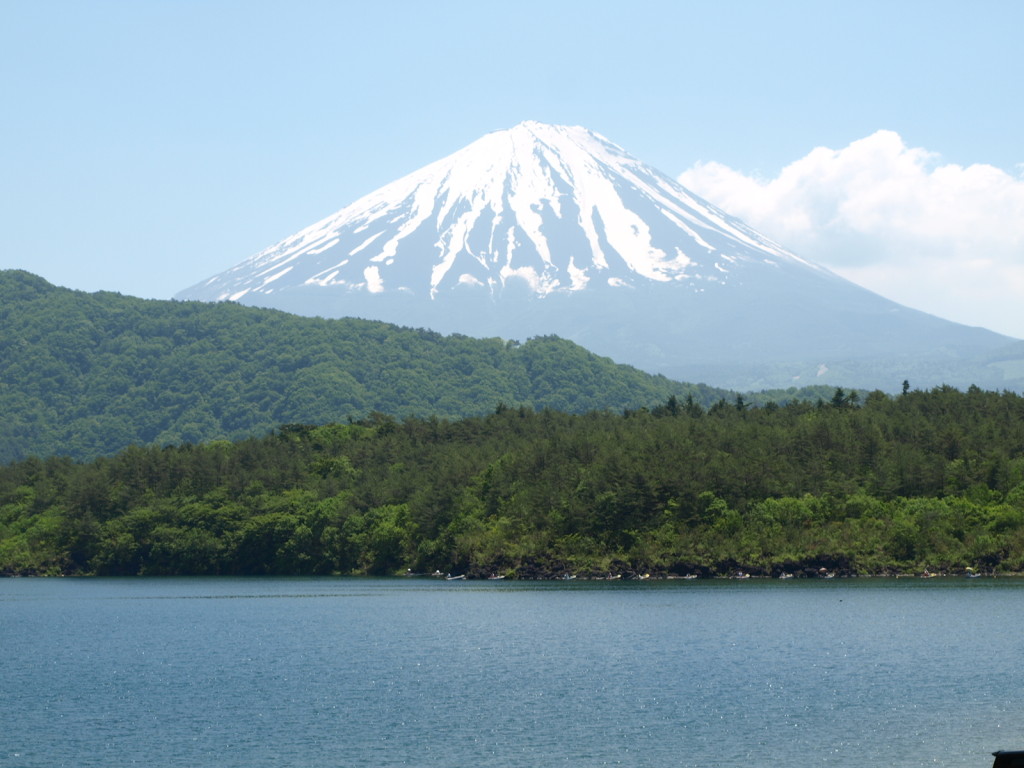 Lake Saiko & Mt. Fuji