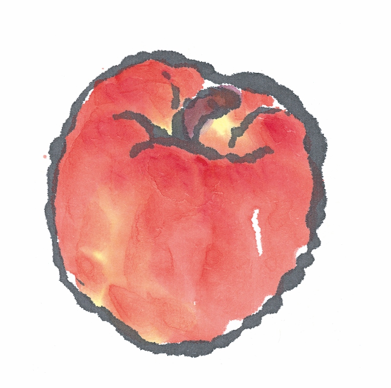 りんご　絵手紙