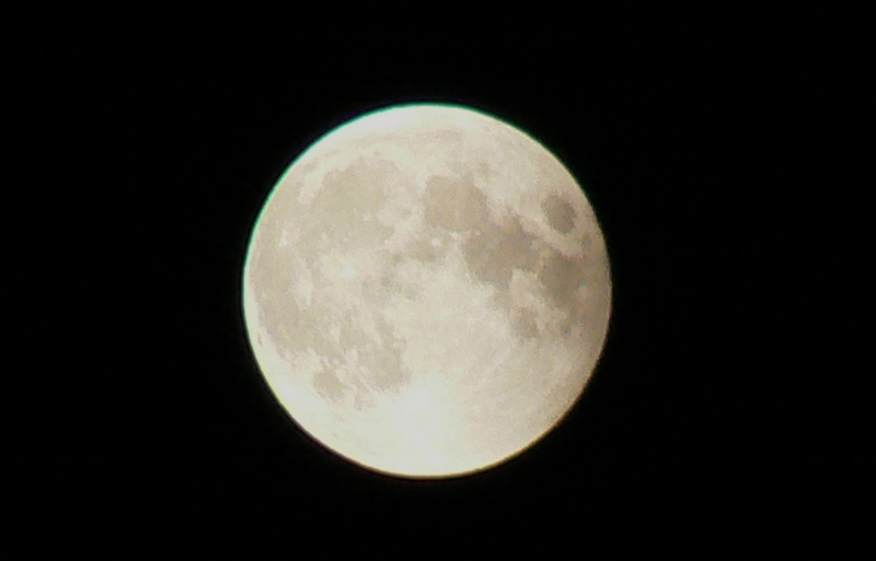 8_Total Lunar Eclipse /Photo: J Matsumoto